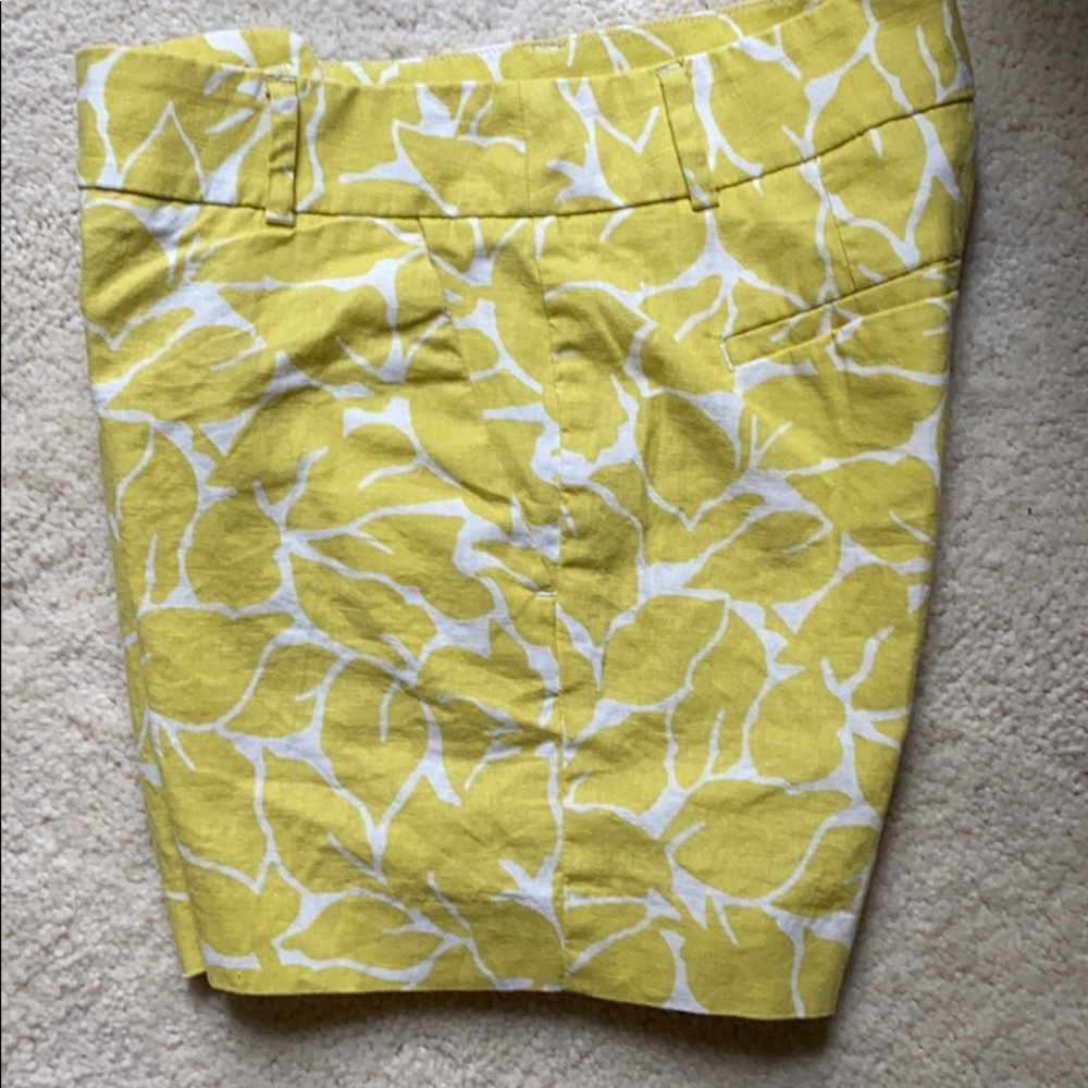 Loft shorts